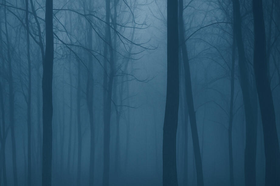 Adéntrate en el terror basado en hechos reales